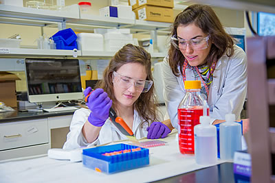 Ͷע students doing research in a lab