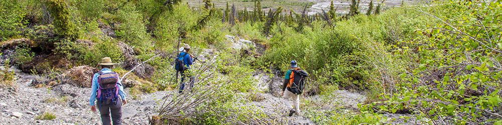 Associate professor Margaret Darrow, left, and state geologists Ronald Daanen and Trent Hubbard take GPS readings from a number of pre-installed stations as they hike down one of a series of frozen debris lobes which have appeared along hillsides in the Dietrich River valley in the southern Brooks Range, which could threaten the highway and the nearby trans-Alaska pipeline. Ͷע photo by Todd Paris
