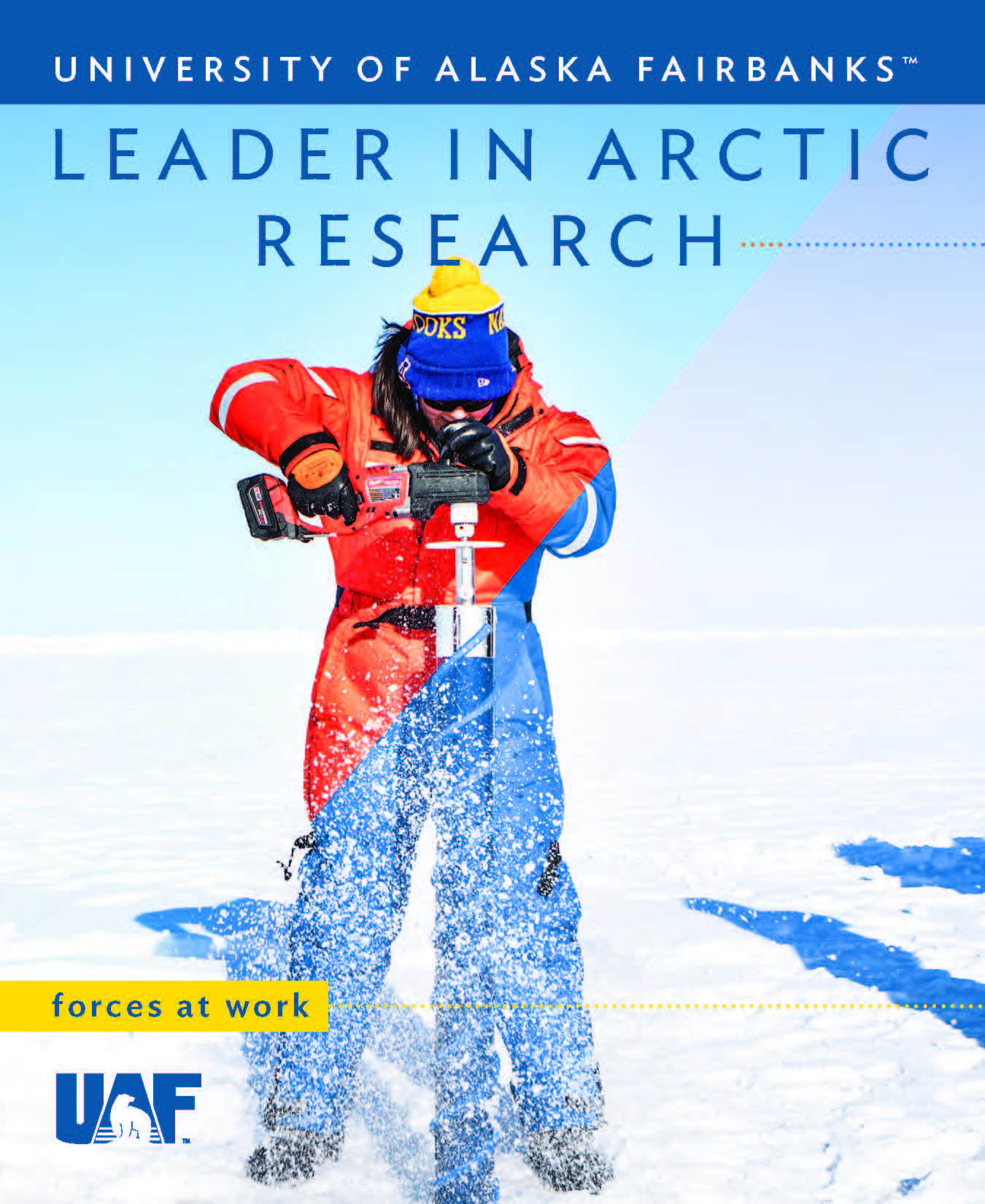 Ͷע research publication cover
